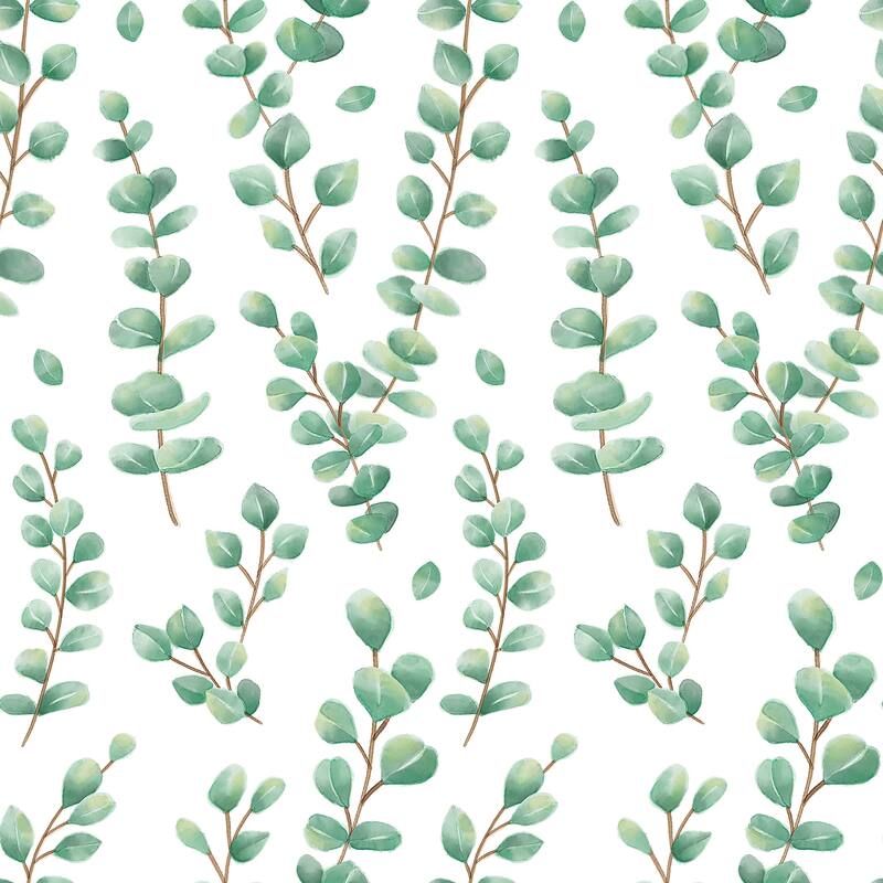 Teacher Created Resources Peel and Stick Decorative Paper Roll, 17-1/2" x 10 ft, Eucalyptus