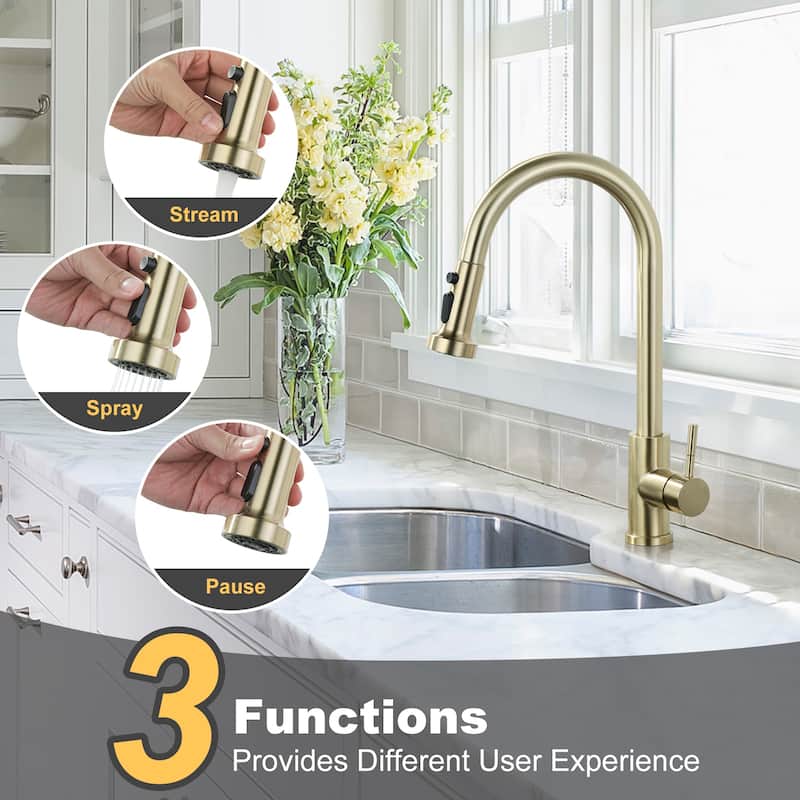 WOWOW Single Handle Pull Down Sprayer Kitchen Faucet