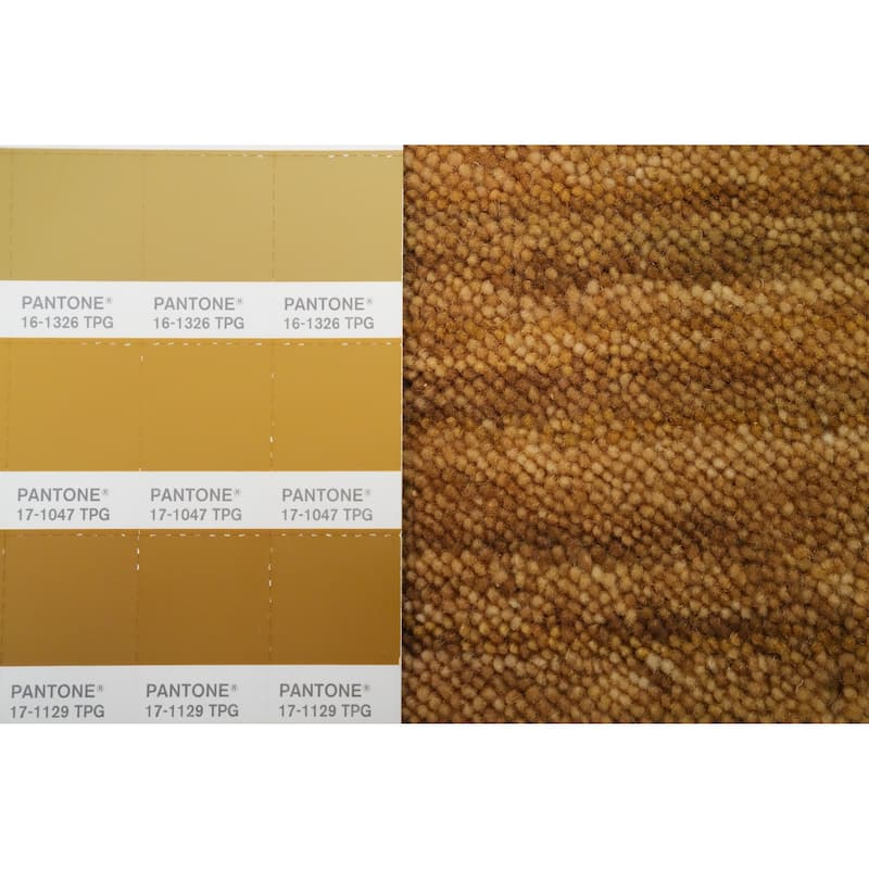 Hand Knotted Oriental 100% Wool Carpet Tribal Animal Pictorial Yellow & Gold Gabbeh Area Rug - 4' 0'' X 2' 0''