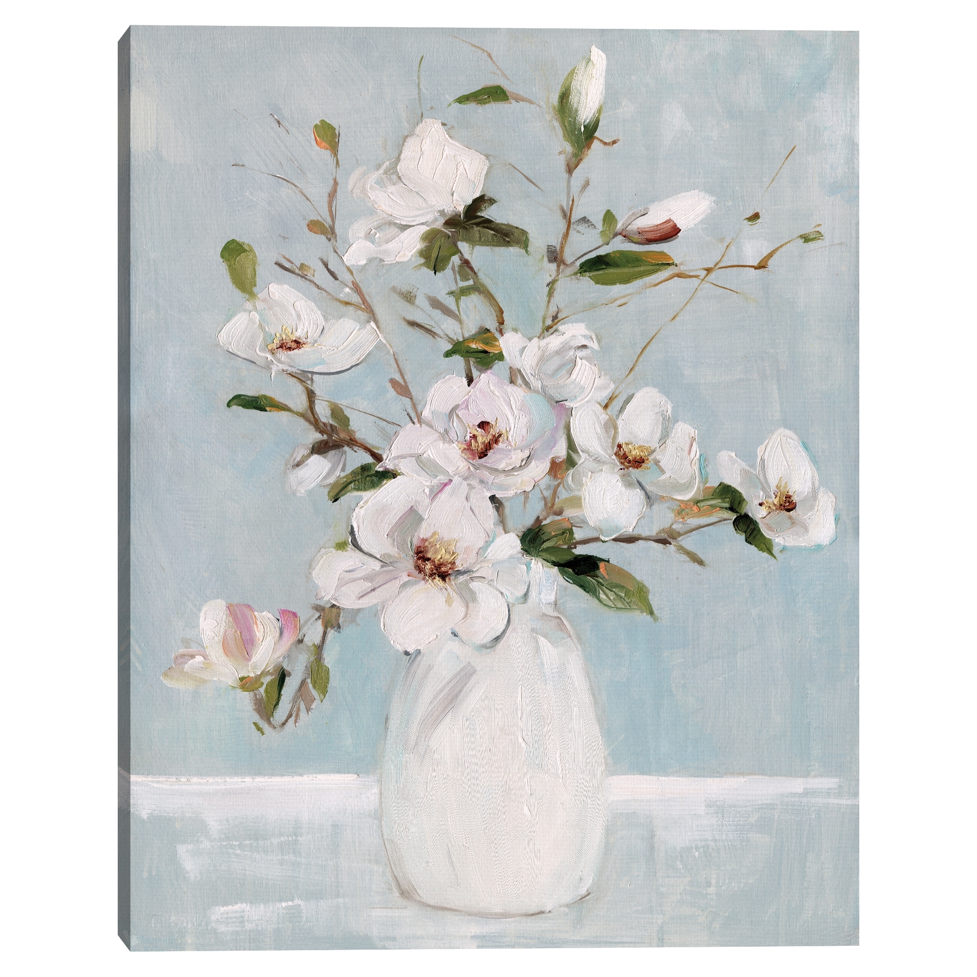Magnolia Charm by Sally Swatland Canvas Art Print