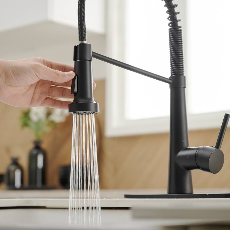 WIZ Pull-Down Sprayer 2 Spray High Arc Kitchen Faucet
