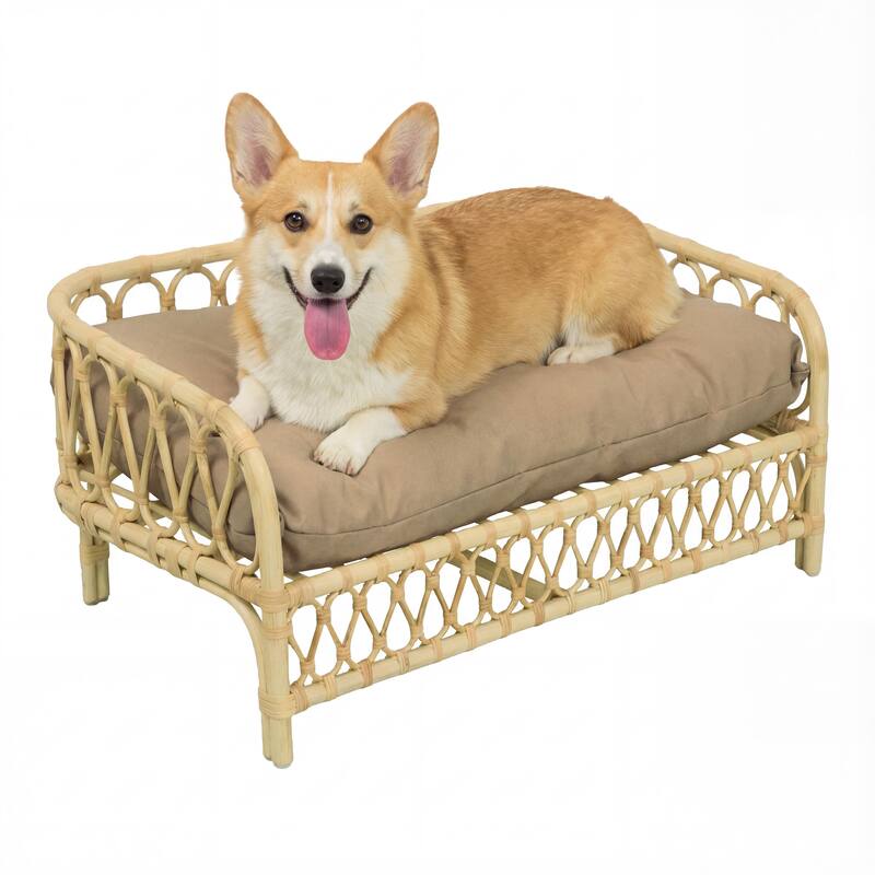 Elevated Rattan Dog Daybed with Machine-Washable Cushion - Polyester - Light Brown