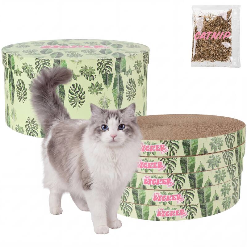 Kate 12" Cardboard Reversible Cat Scratcher Pad in Box with Catnip, (5-Pack) - Assembled - Mint/Green
