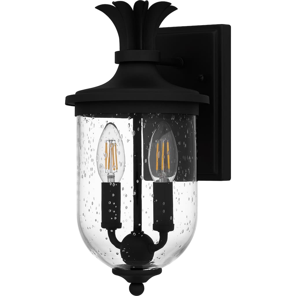 Havana 2-Light Earth Black Outdoor Wall Lantern