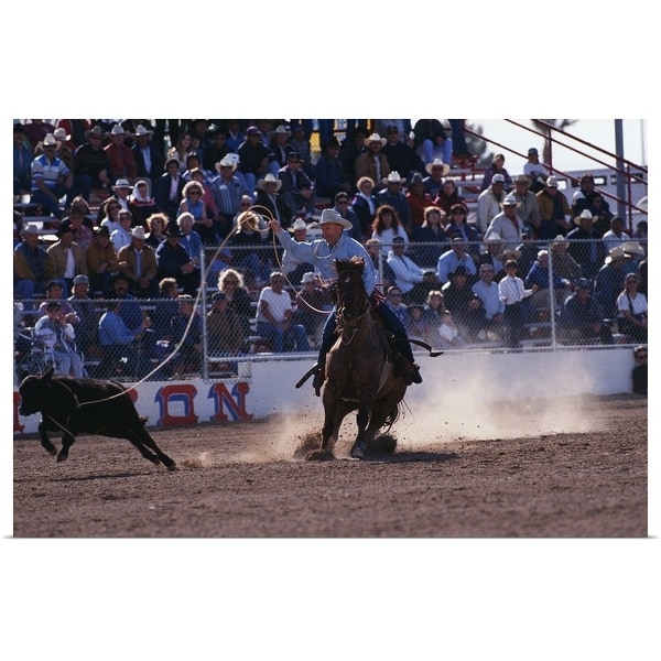 "Cowboy Roping Calf At Rodeo" Poster Print