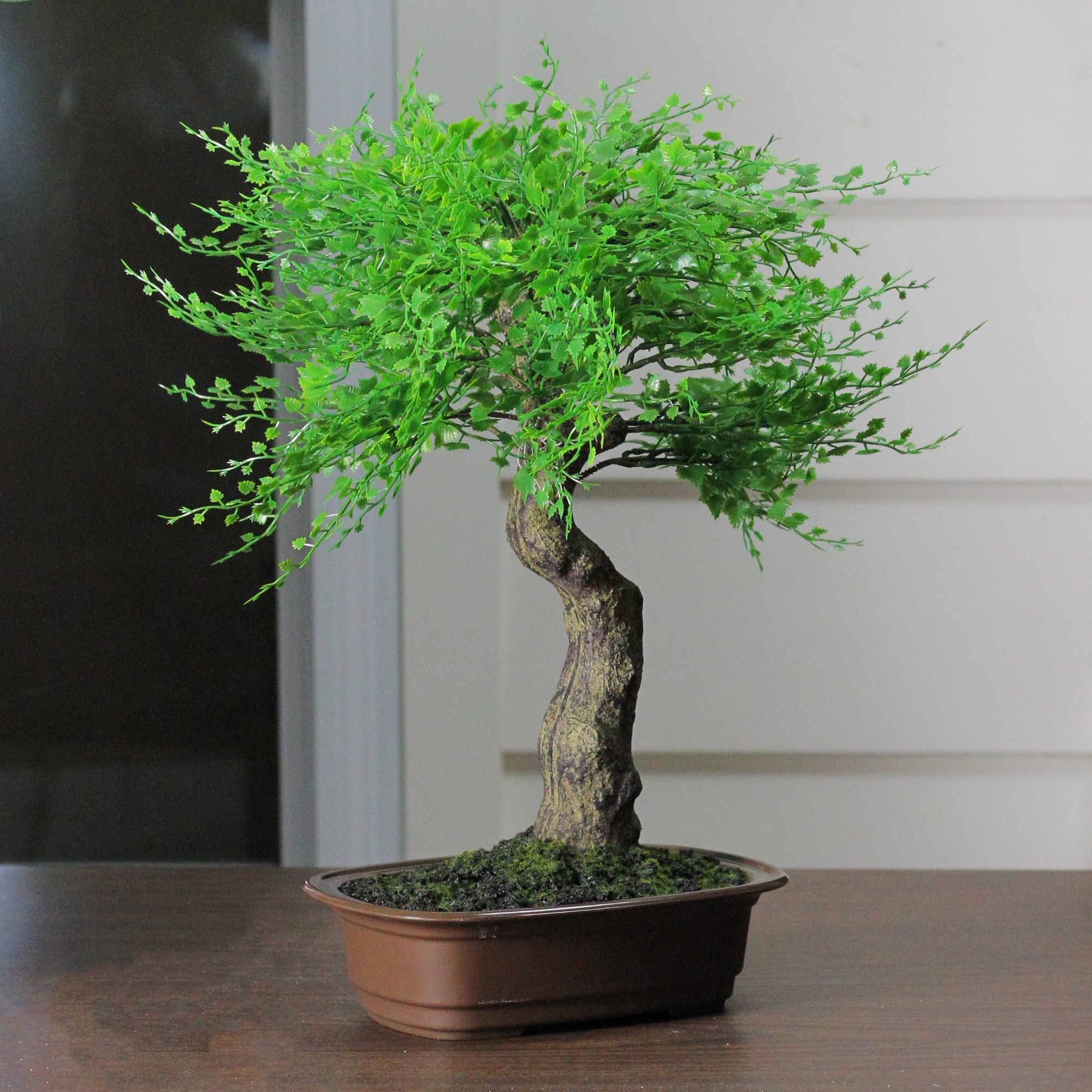 Shop 16 Green Mini Maple Artificial Bonsai Tree In A Brown Pot Overstock 24257753