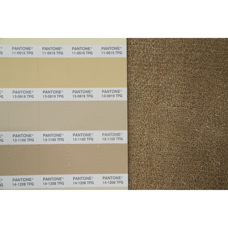 Hand Knotted Oriental 100% Wool Carpet Tribal Animal Pictorial Beige & Ivories Gabbeh Area Rug - 8' 2'' X 8' 3''