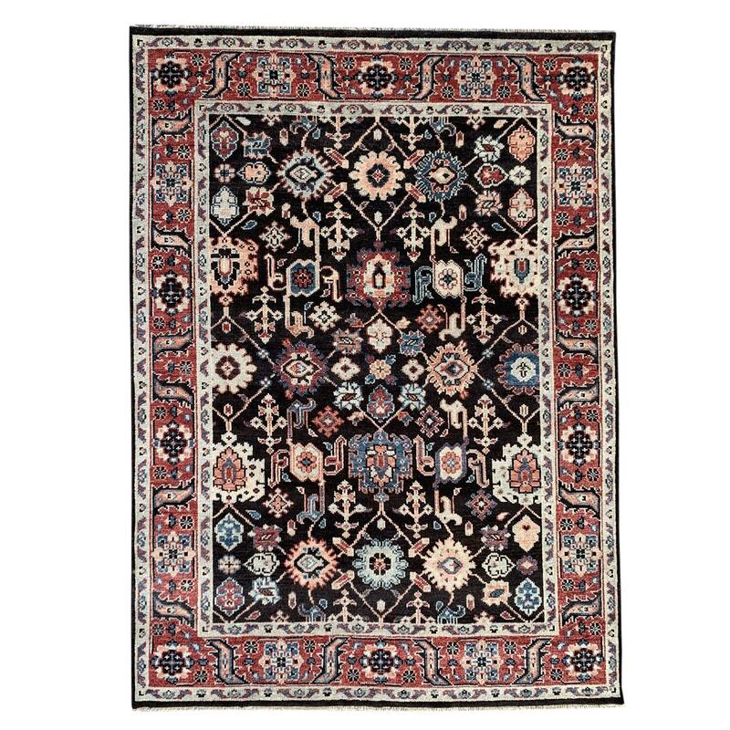 C.Brown/R.Red Hand Knotted Wool Traditional Serapi Rug, 9' x 12', soft cozy area accent - L