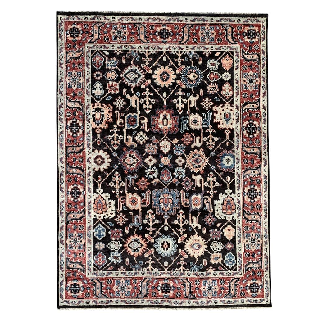 C.Brown/R.Red Hand Knotted Wool Traditional Serapi Rug, 9' x 12', soft cozy area accent - L