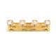 Option Gold