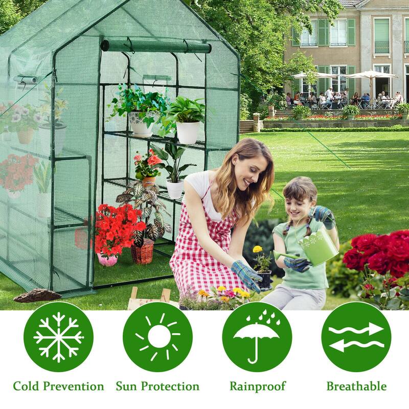 Gymax Walk-in Greenhouse 56''x56''x77'' Gardening w/Observation - See Details