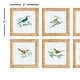 preview thumbnail 3 of 2, Songbird Petite Prints, Set Of 6