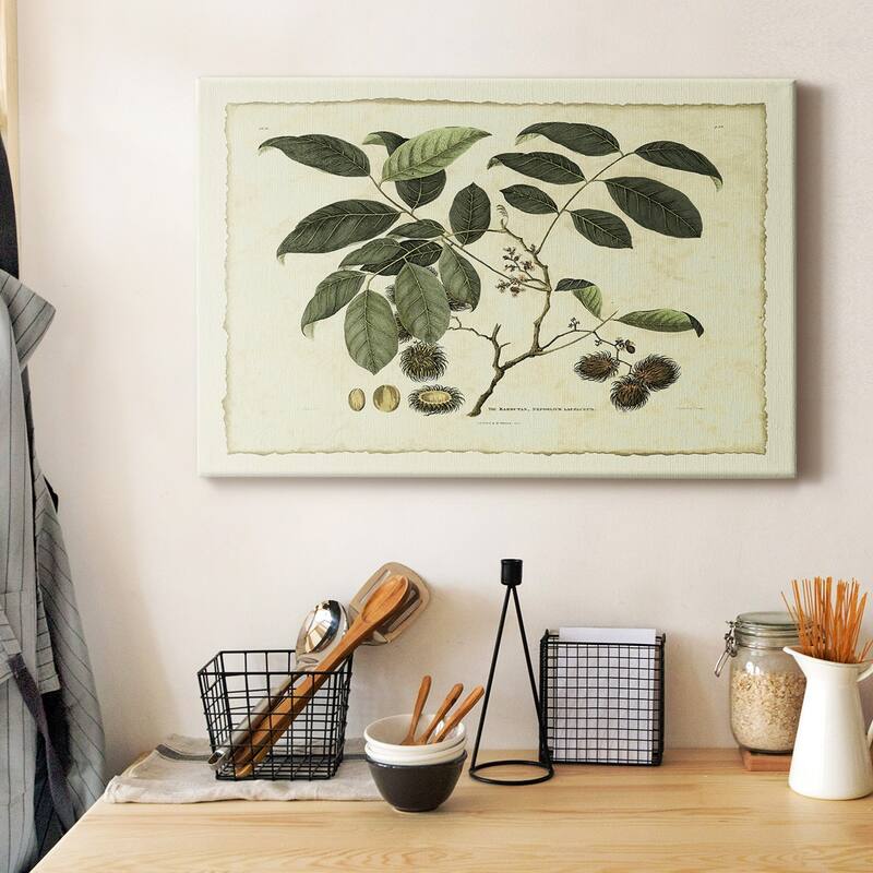 Delicate Botanical III Premium Gallery Wrapped Canvas - Ready to Hang