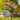 46.75 Inch Tall Iron Hummingbird Stake with Rain Gauge