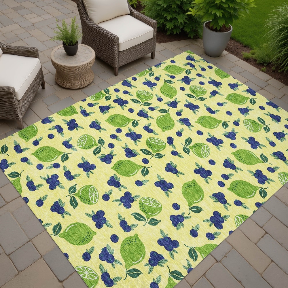 Machine Washable Indoor/ Outdoor Citrus Berry Chantille Rug
