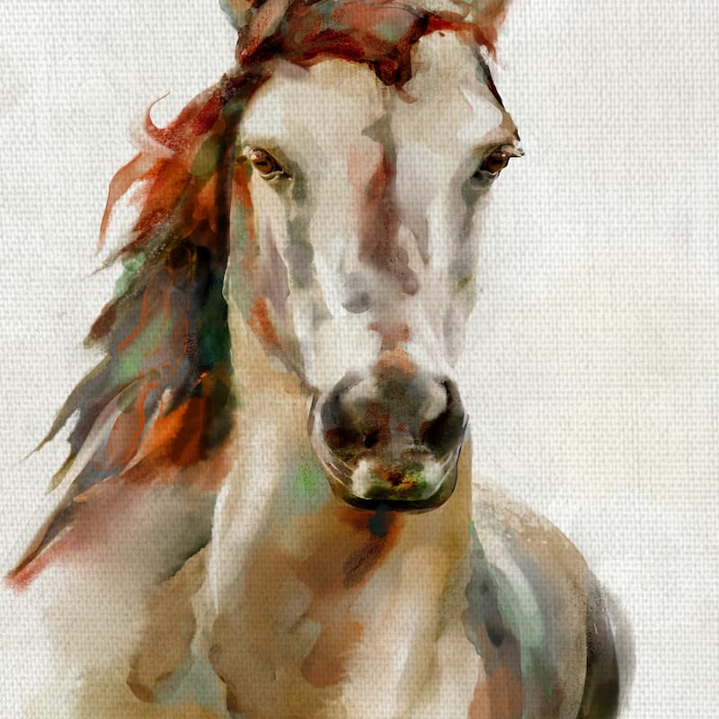 Spirit by Studio Arts Canvas Art Print