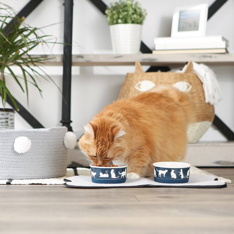 Bone Dry Pet Bowl Cats Meow (Set of 2)