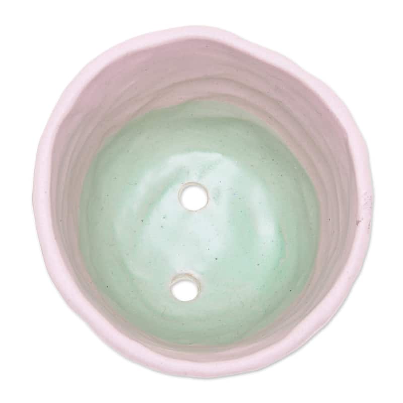 Novica Handmade Pink Roots Ceramic Flower Pot