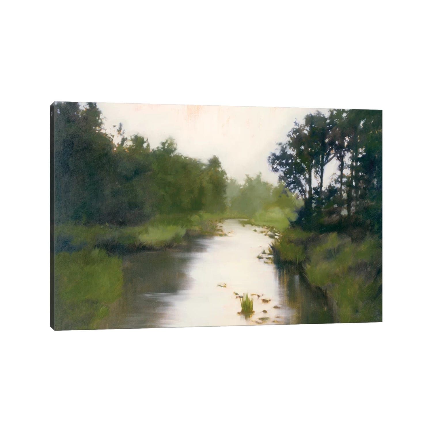 iCanvas "Foothill's Stream" by Megan Lightell Canvas Print
