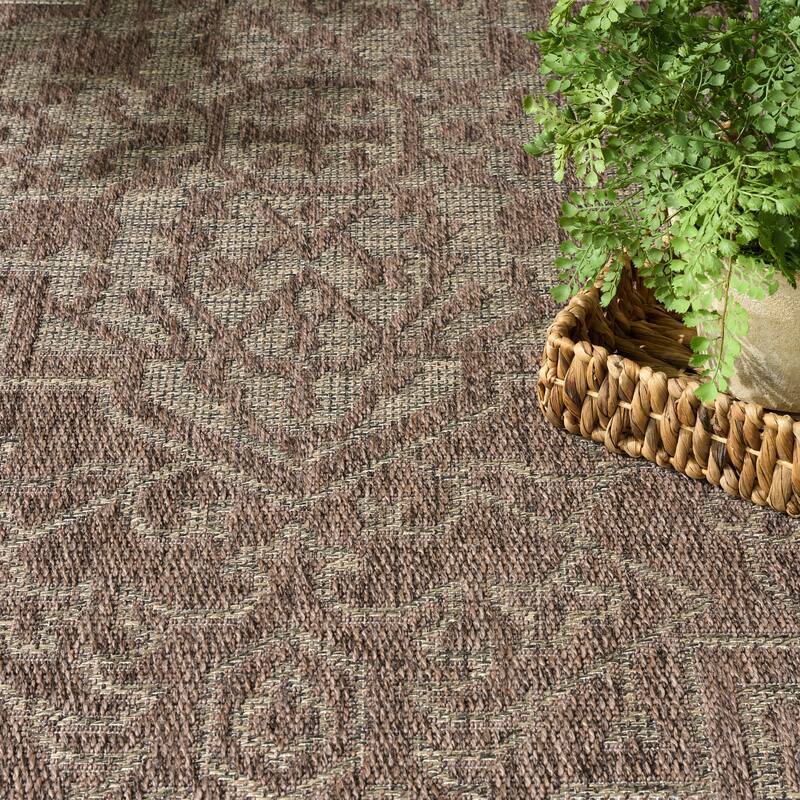 Nourison Tulum Indoor/Outdoor Persian Area Rug - 5'3" x 7' - Brown