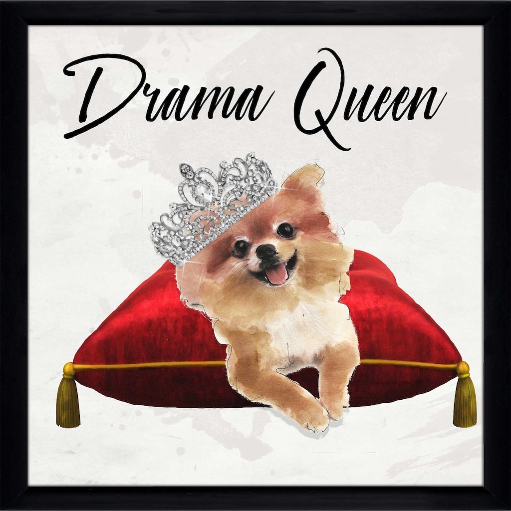 "Drama Queen Pomeranian" by Jodi Print on Acrylic
