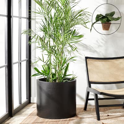 SAFAVIEH Outdoor Daijah Black Planter - 22"W x 22"D x 19"H