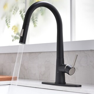 Matte Black Pull-Out Single-Handle Kitchen Faucet with Deck