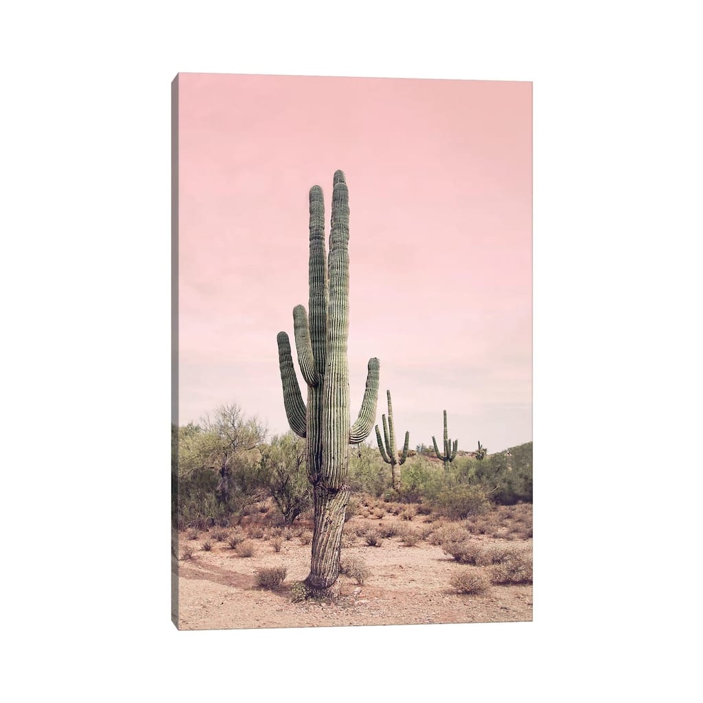 iCanvas "Desert Cactus Blush" by Sisi & Seb Canvas Print
