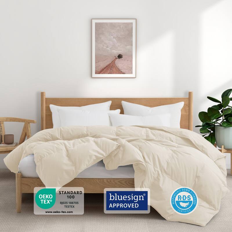 All Season 100% Organic Cotton Down Breathable Duvet Insert Medium Warmth Comforter