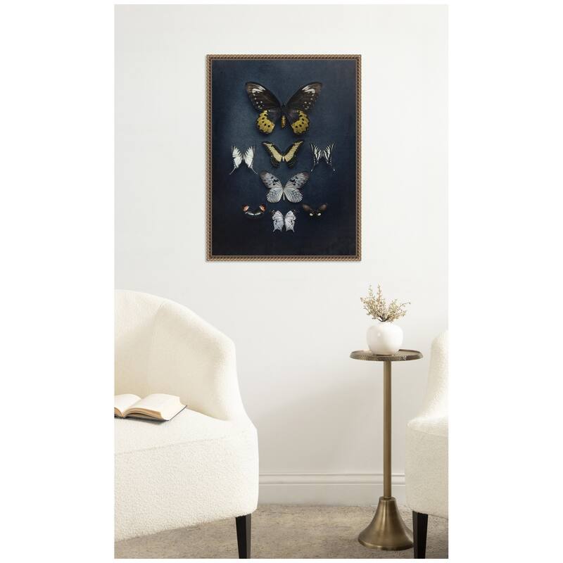 Kate and Laurel Butterfly Study Dark by Emiko and Mark Franzen F2 Images Framed Canvas Wall Art Print