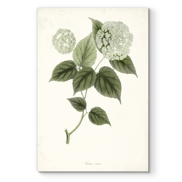slide 2 of 10, Sage Botanical I -Premium Gallery Wrapped Canvas