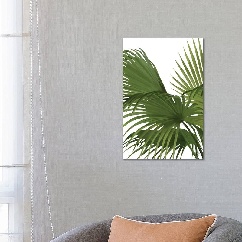 iCanvas "Another Fan Palm II" by Fab Funky Canvas Print - 26x18x1.5