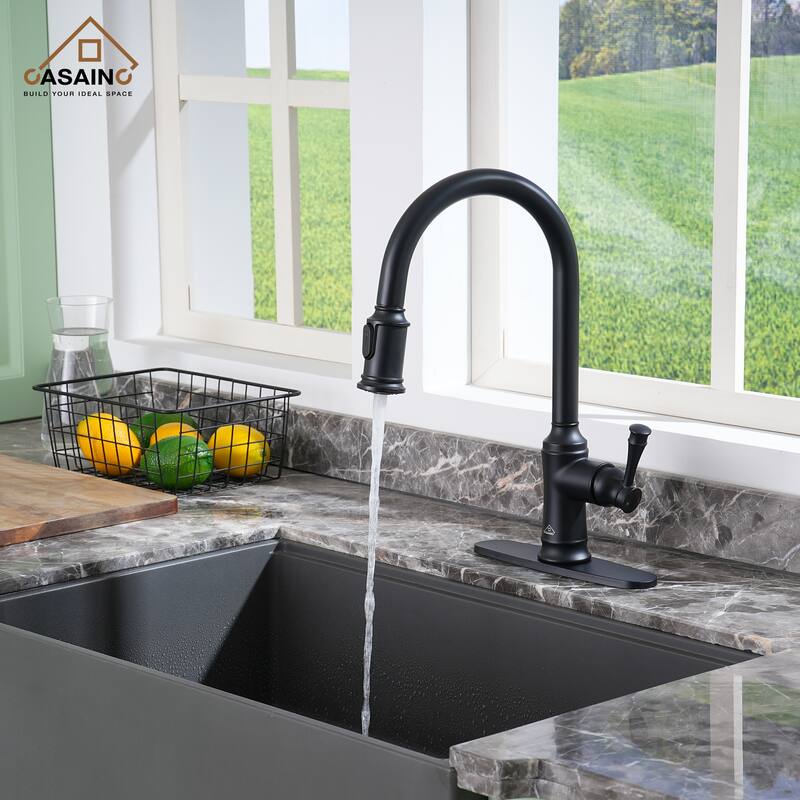 Single Handle Pull Out Sprayer Kitchen Faucet - Black