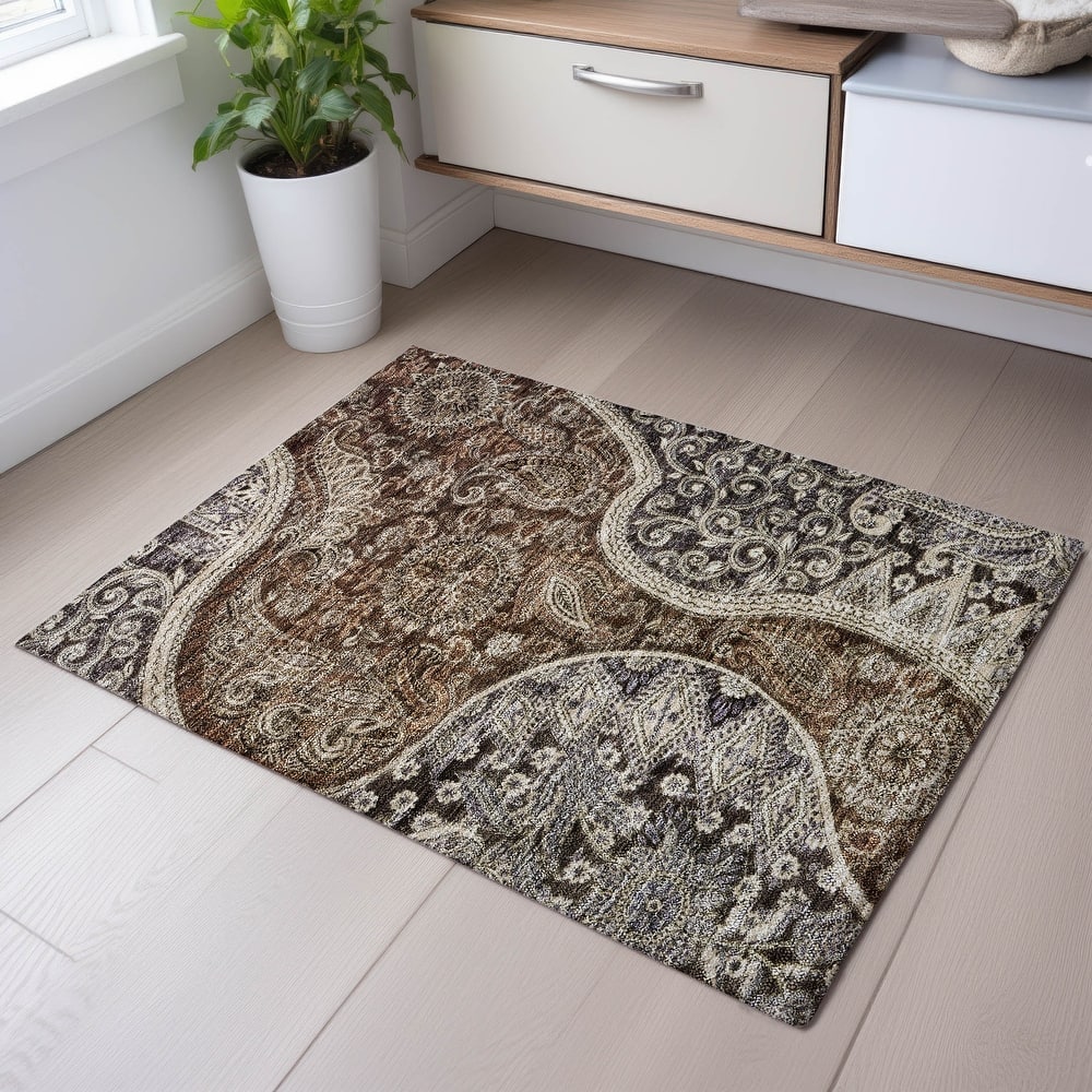 Premium Washable Super Soft Modern Paisley Mayfield Rug