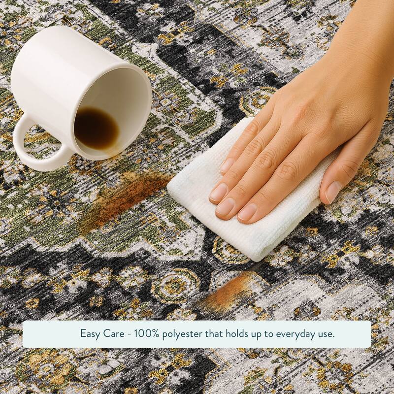 Machine Washable Indoor/ Outdoor Traditional Kiowa Chantille Rug