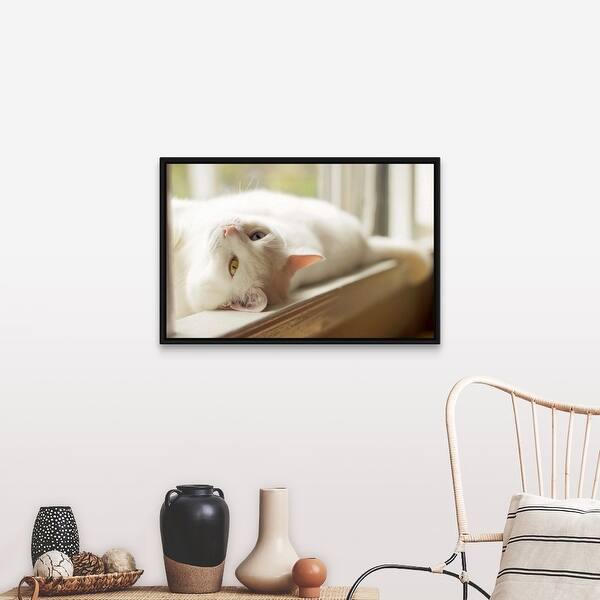 A White Cat With One Blue Eye And One Yellow Eye Lounging In A Sunny Windowsill Black Float Frame Canvas Art Overstock