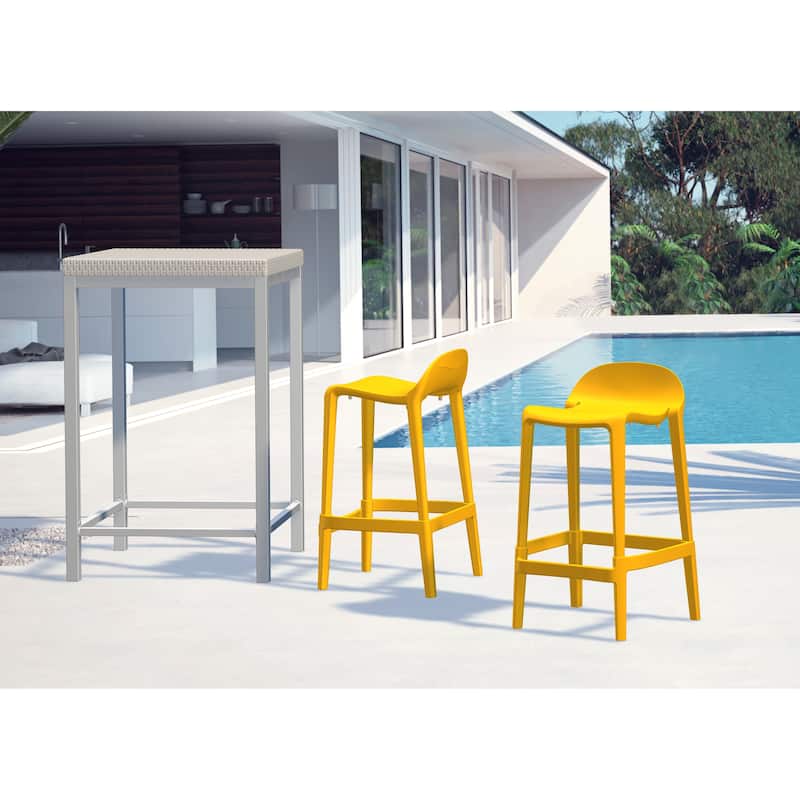 Lagoon Joyous Resin Counter Stool, Set of 2
