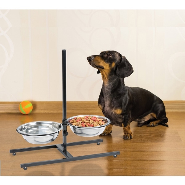correct height for dog bowl