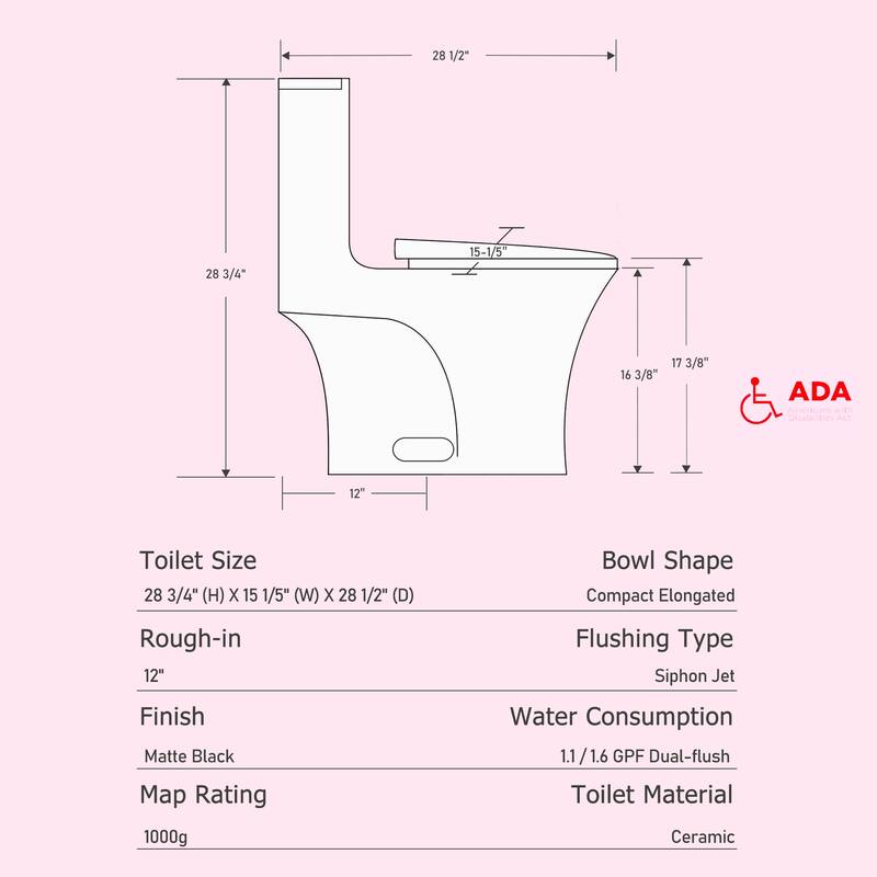 Matte Black One-Piece Toilet