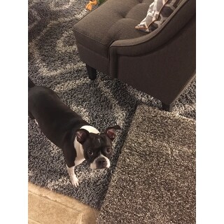 Safavieh Milan Shag Maibritt Solid Rug