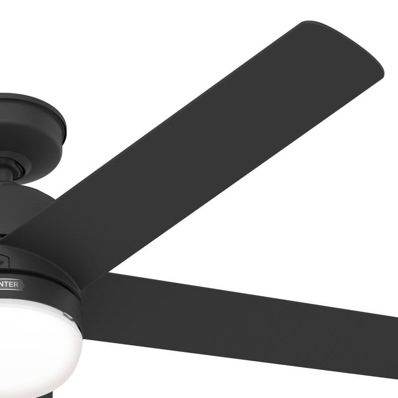 Hunter 52" Lagoon WeatherMax Outdoor Ceiling Fan w/ LED Light, Wall Control - Extreme Weather! Corrosion & Salt-Air Resistant!