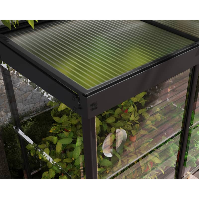 Ivy 4 ft. x 2 ft. Black/Clear Mini Greenhouse Kit - 4ft. x 2ft.