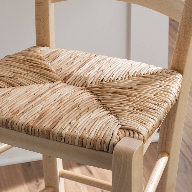 Cloney Counter Stool (Set of 2)