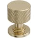 Option Golden Champagne