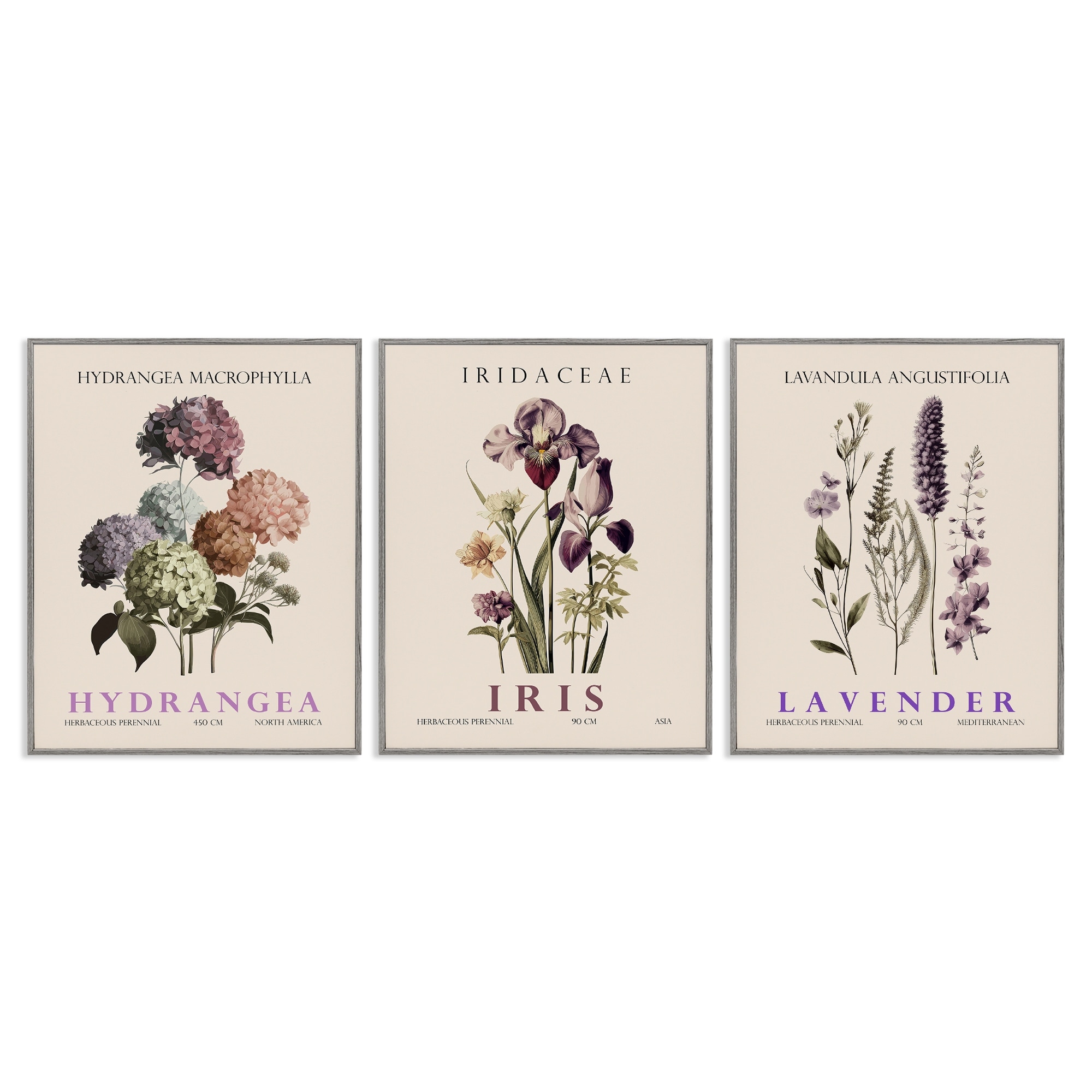 Stupell Botanical Bundles & Sprigs Framed Giclee Art Design By Christopher Giampietro (Set of 3)