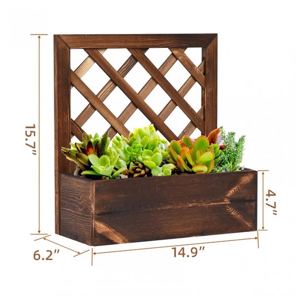 Plant Hanger Wall Planters Indoor Plants Wooden Wall Mounted