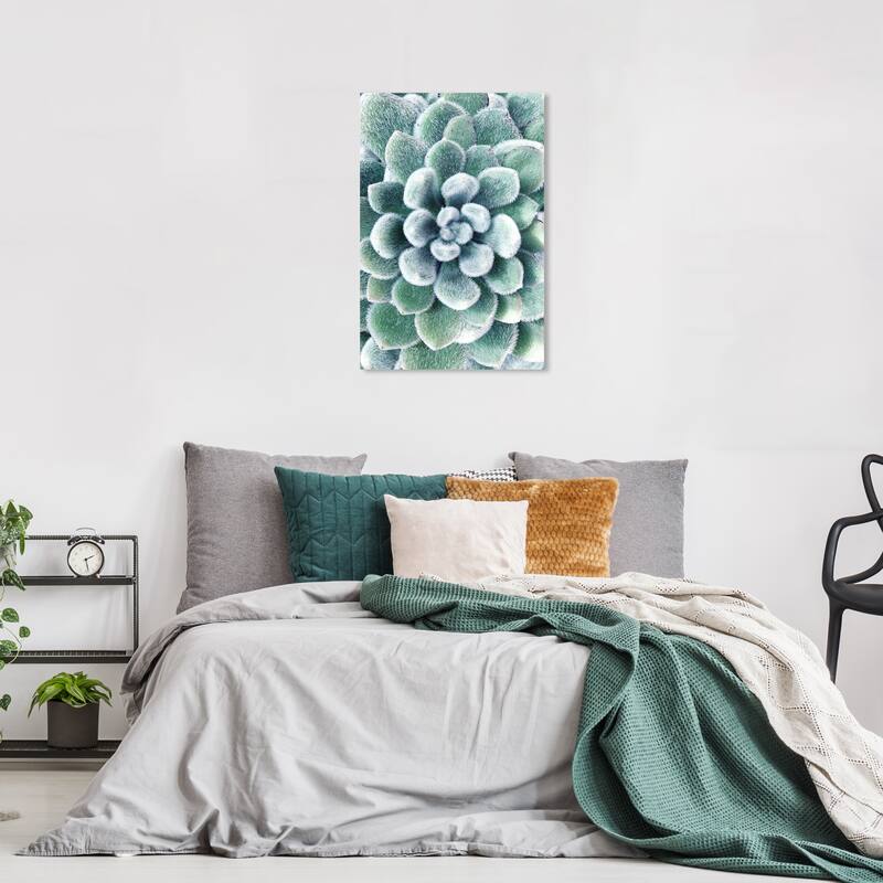 Wynwood Studio Canvas Floral and Botanical Succulent Zoom III Green and Tropical Wall Art Canvas Print - 24 x 16