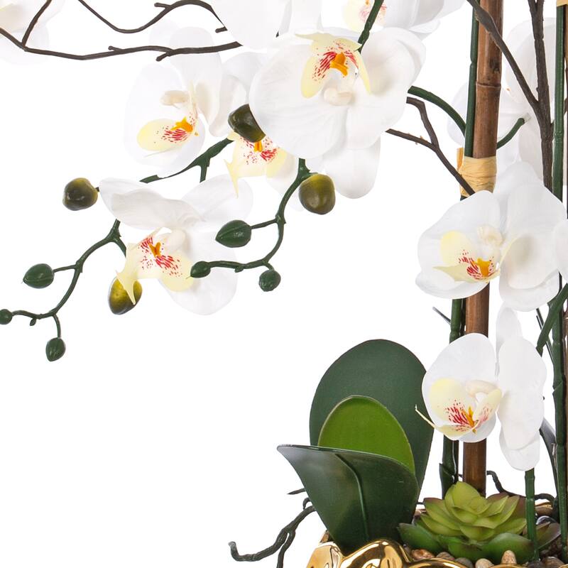 8 Stems Real Touch Phalaenopsis Plastic Orchids with Succulents in White Ceramic Pot - 35.43" H x 31.5" W x 31.5 " D