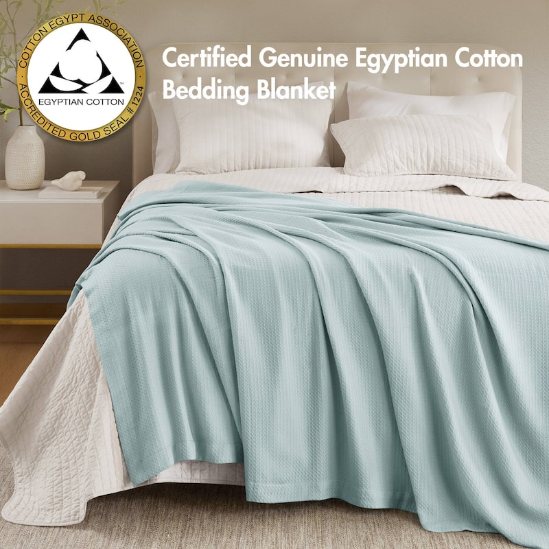 Madison Park Egyptian Cotton Solid Blanket