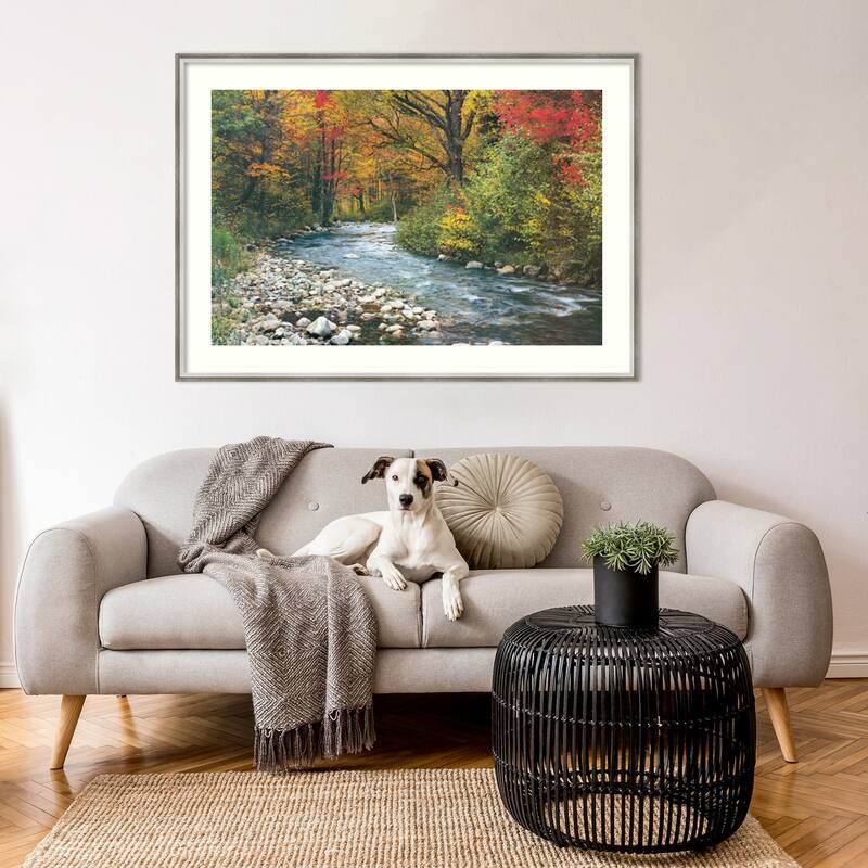 Forest Creek I Framed Art Print